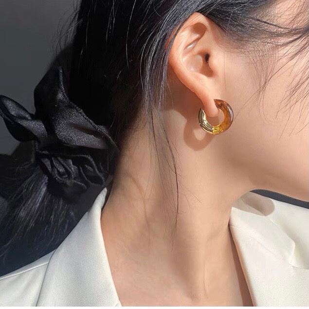 Hermes Earrings